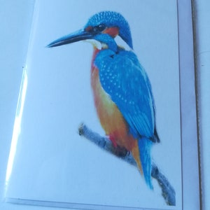 Kingfisher Greeting card