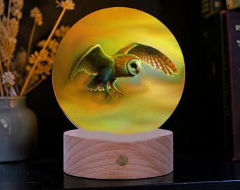 Flying Barn Owl Round Glass  LED Lamp Night Light