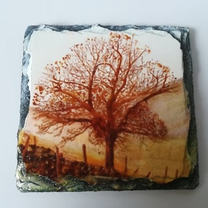 Tree of Life at Stalling Busk - Rock  Slate Coaster