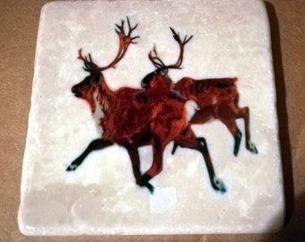 Reindeer on a Marble Coaster