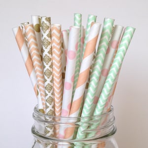 Sophia: cannucce di carta Shabby Chic, confezione multipla rosa, oro, menta e pesca