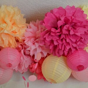 Kit di tessuto Pom Pom e lanterne / Deluxe party decorazioni / primo compleanno / bridal doccia / baby doccia arredamento / caldo rosa / pesca / avorio / rosa