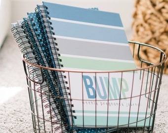 Bump Book, Pregnancy Journal, Memory Book, Pregnancy Planner || SEA GLASS