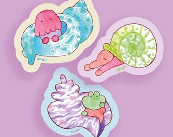 Magnet Les Coquilles - aimant décoratif