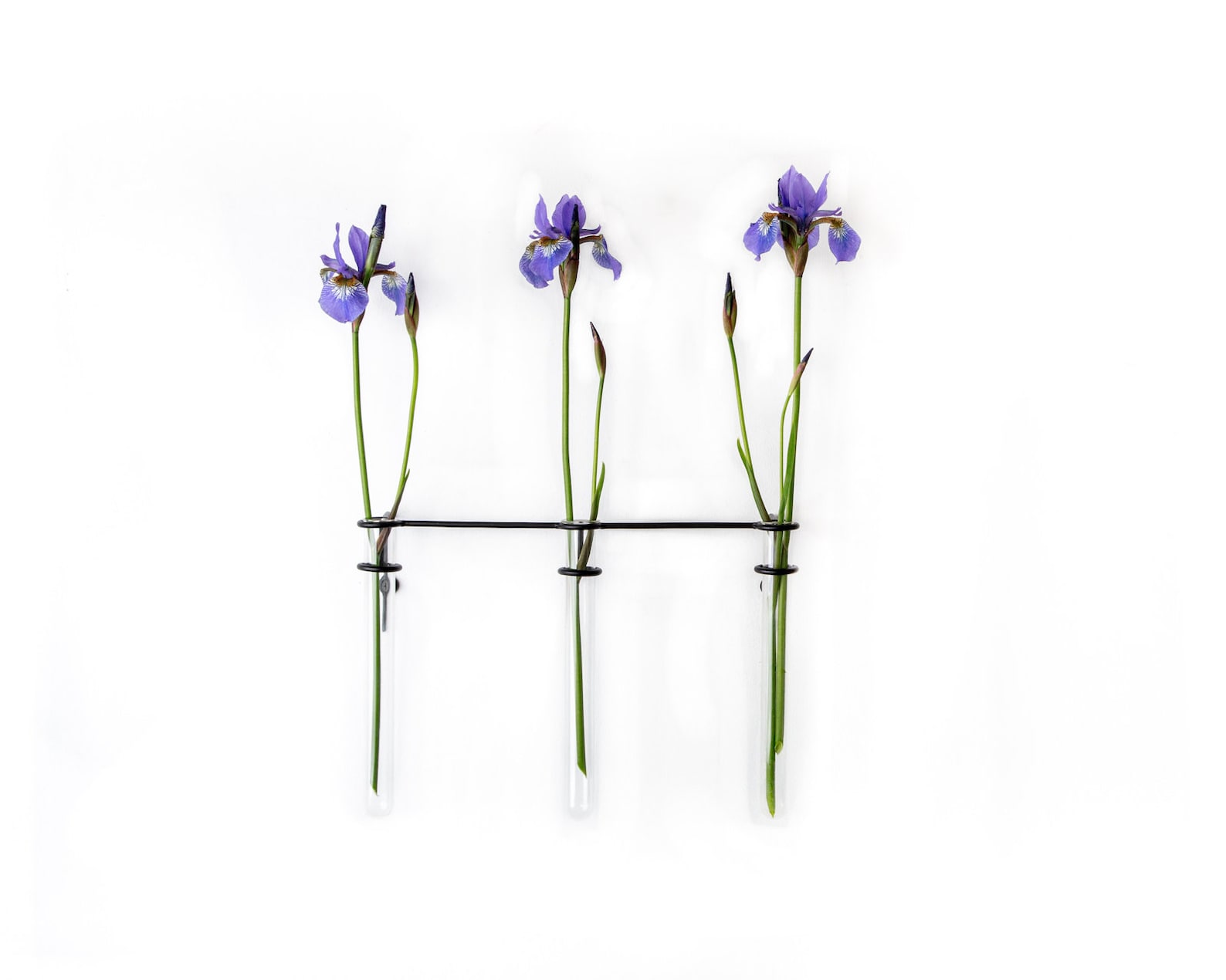 Wall Flower Vase Etsy