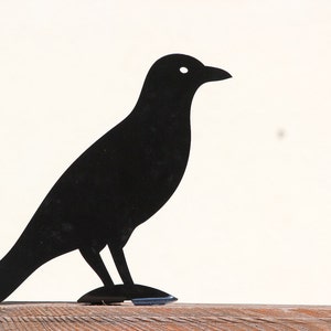 Bird Garden Decor Metal Black Crow