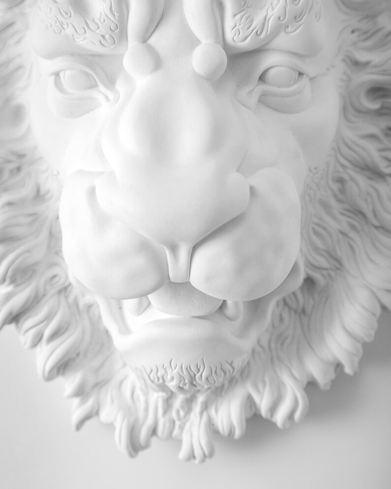 animal plaster wall art animal plaster wall art