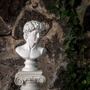 Greek Bust Statue | Roman Sculpture Mythology |  Plaster Decor for Home | David Bust | Head Statues