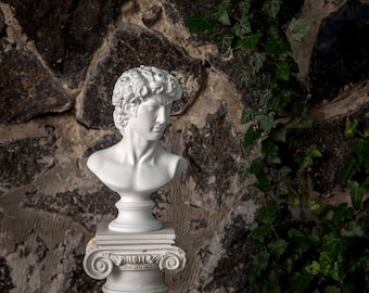 Greek Bust Statue | Roman Sculpture Mythology |  Plaster Decor for Home | David Bust | Head Statues