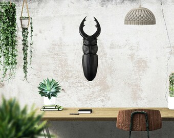 Faux Insect Taxidermy Beetle // Bug Wall Art // Urban jungle wall decor // Black edition // Man cave perfect // FREE SHIPPING