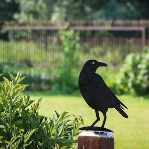 Decorazione da giardino per uccelli Corvo in metallo nero