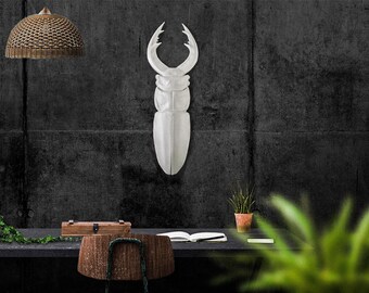 Faux Insect Taxidermy Beetle // Bug Wall Art // Urban jungle wall decor // Man cave perfect // FREE SHIPPING
