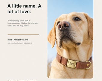 Personligt vadderat hundhalsband – mikrofiberläder med graverat namn, justerbar passform + matchande koppel