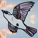 Avataren tillhör BirdsandArrows