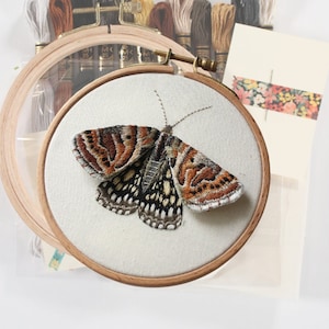 Moth Stumpwork Embroidery Kit, Thread Painting, Needle Painting Kit