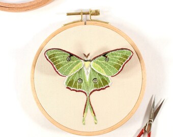 Faux Insect Taxidermy, Luna Moth Wall Art, Framed Insect Specimen, Moth Embroidery Hoop Art