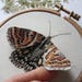 3D Insect Thread Painting Embroidery Pattern, Stumpwork Embroidery PDF ...