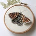 3D Insect Thread Painting Embroidery Pattern, Stumpwork Embroidery PDF ...