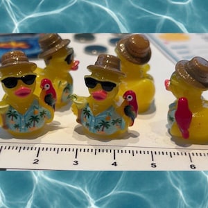 Set of 5, Tropical with Parrot Themed Mini Resin Ducks, Magnetic or Non-Magnetic, Optional Personalized Duck Hiding Tags