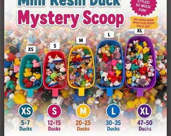 Premium Mini Resin Duck Mystery Scoop – No Duplicates in ANY Scoop (Magnet Option) XS-XL
