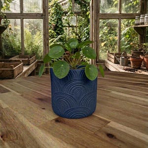 Può includere: Una pianta di Pilea peperomioides con foglie verdi e rotonde in un vaso cilindrico in ceramica blu scuro. Il vaso presenta un motivo in rilievo con archi semicircolari ripetuti che copre l'intera superficie esterna.