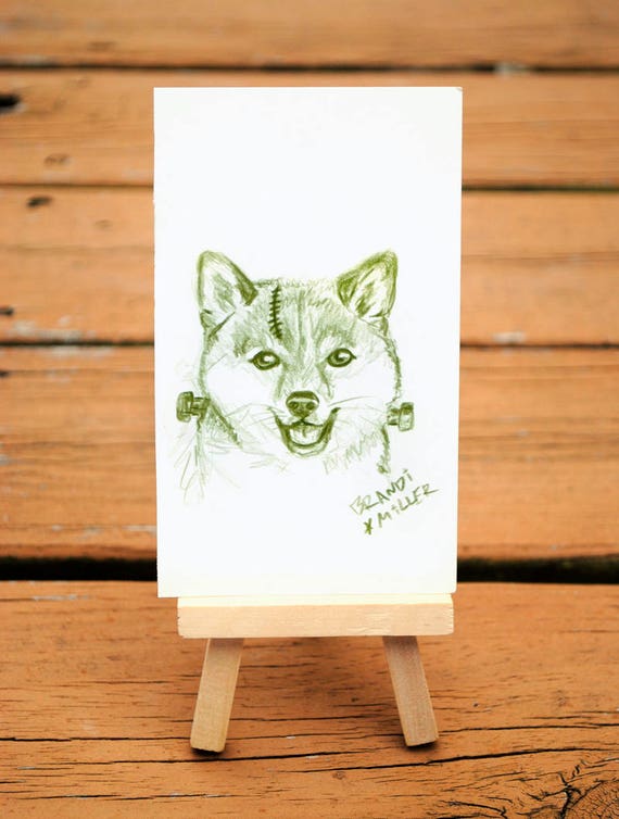 Adorable Shiba Inu Drawing Cute