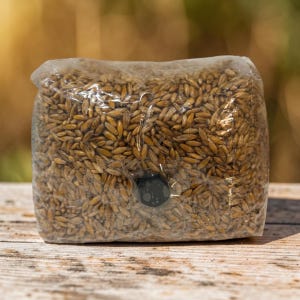 May include: A rectangular clear plastic bag filled with brown grain kernels. The bag features a small, circular black filter patch centered on the front side, designed for ventilation while maintaining a sealed environment for the contents inside.