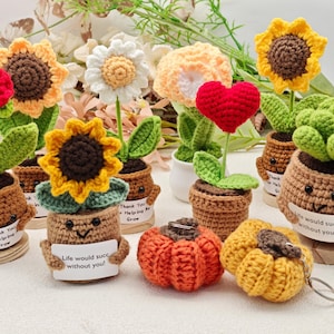 Peut inclure: Une collection d'objets crochetés comprenant des fleurs en pot, un cœur, une plante grasse et deux citrouilles. Les plantes en pot présentent des visages souriants et de petits panneaux blancs avec du texte comme "Life would succ without you!" et "Thank You for Helping Me Grow."