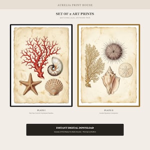 May include: A set of two art prints titled AURELIA PRINT HOUSE SET OF 2 ART PRINTS. Plate I features red coral, a nautilus shell, and a starfish. Plate II displays a sea fan, sea urchin, conch shell, and sand dollar on aged paper backgrounds.