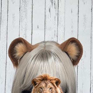 Puede incluir: Un par de orejas de animal de felpa, redondeadas y en tonos marrón y beige, unidas a una diadema sobre cabello liso de color gris plateado y largo hasta los hombros. Las orejas presentan un borde exterior marrón oscuro y un centro beige.