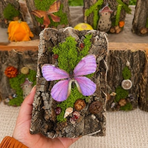 May include: A rectangular piece of textured tree bark decorated with a large, light purple butterfly, vibrant green moss, small brown seed pods, and a tiny white seashell. The bark is secured with thin white string wrapped around the edges.