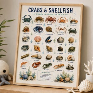 Può includere: Un poster educativo incorniciato intitolato CRABS & SHELLFISH DISCOVER THE DIVERSITY OF THE SEA, che presenta trenta illustrazioni numerate ad acquerello di varie creature marine, tra cui granchi, vongole e conchiglie, con un riquadro DID YOU KNOW.