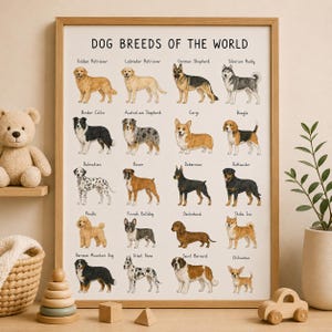 Może przedstawiać: Oprawiony wydruk ścienny zatytułowany DOG BREEDS OF THE WORLD przedstawiający dwadzieścia ilustrowanych ras psów, w tym Golden Retriever, Labrador Retriever, Owczarek Niemiecki, Husky Syberyjski, Border Collie, Owczarek Australijski, Corgi, Beagle, Dalmatyńczyk, Bokser, Doberman, Rottweiler, Pudel, Buldog Francuski, Jamnik, Shiba Inu, Berneński Pies Pasterski, Dog Niemiecki, Bernardyn oraz Chihuahua.
