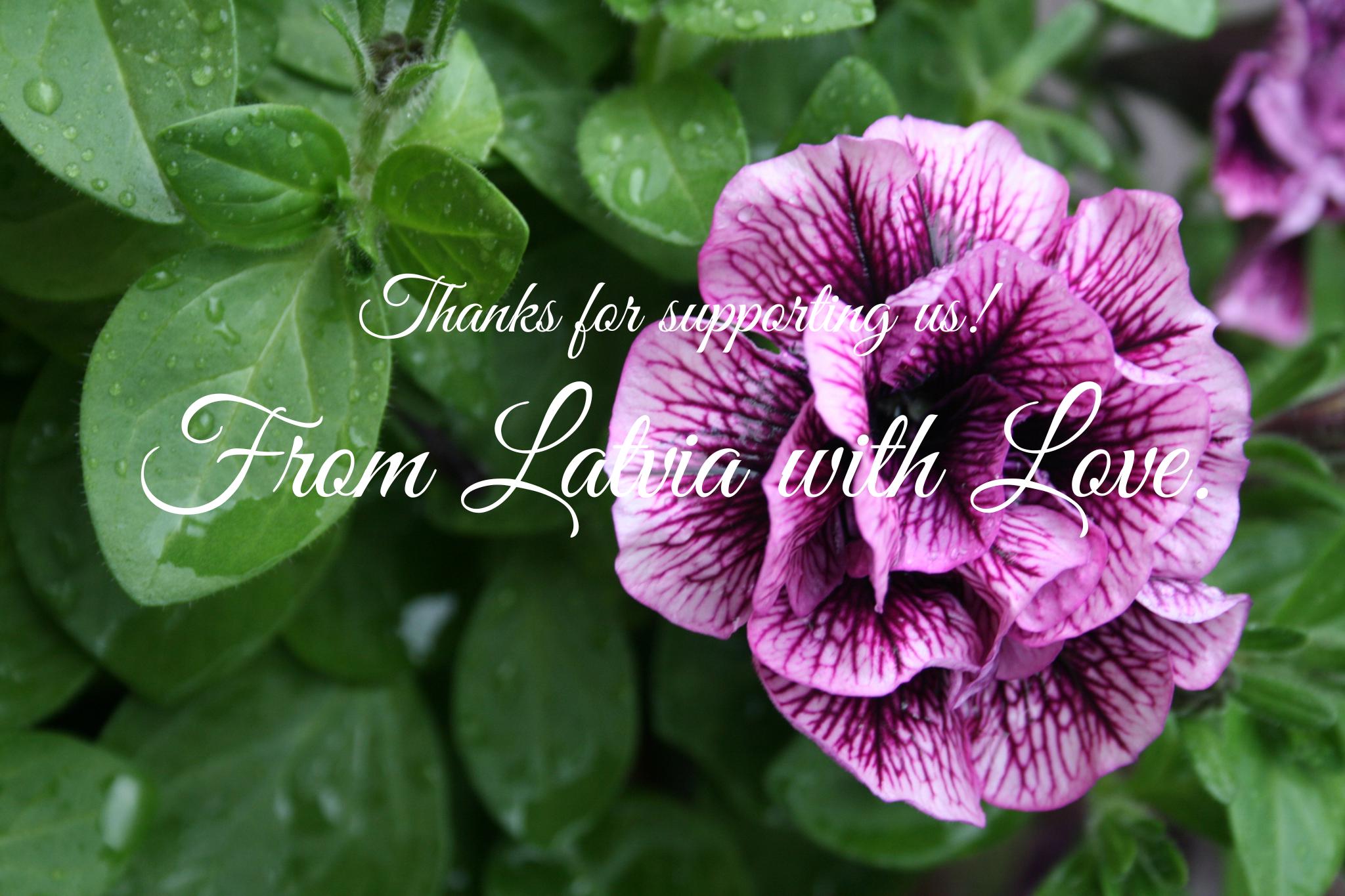 女性情報誌 ANGERME RINA FASHION TOOL Petunia Photography of the Petunia After Rain (digital Download). - Etsy