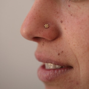 Gold nose studs sale