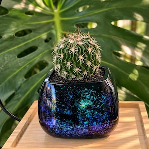 May include: A small, round, green cactus with sharp spines planted in a glossy, square-shaped planter. The planter features a dark, reflective finish with embedded iridescent blue and purple glitter flakes that shimmer across the surface.