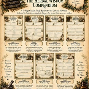 May include: The Herbal Wisdom Compendium Volume III is a 7-page guided study system for herbalists. It features sections for herb identification, research notes, preparation methods, actions, pairings, body systems, and a final herbal wisdom profile.