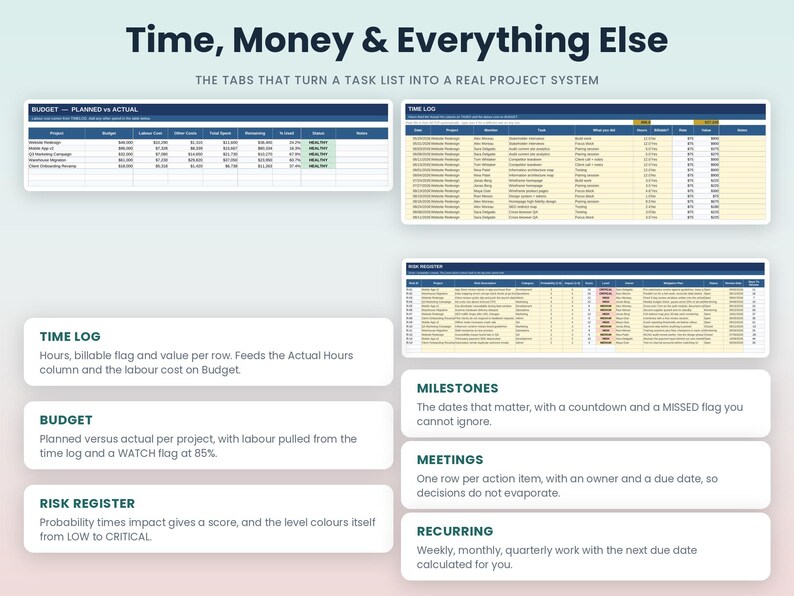 May include: A digital project management dashboard featuring a title Time, Money & Everything Else. It displays three spreadsheet tables labelled Budget, Time Log, and Risk Register, alongside descriptive text boxes for each project management tab.