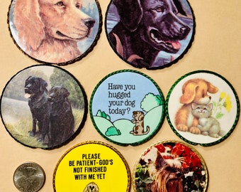 Golden Retriever, Black Lab, setters, Shih Tzu,plus more dog & puppy magnets, Choose from 7 different handmade vintage magnets, small gift