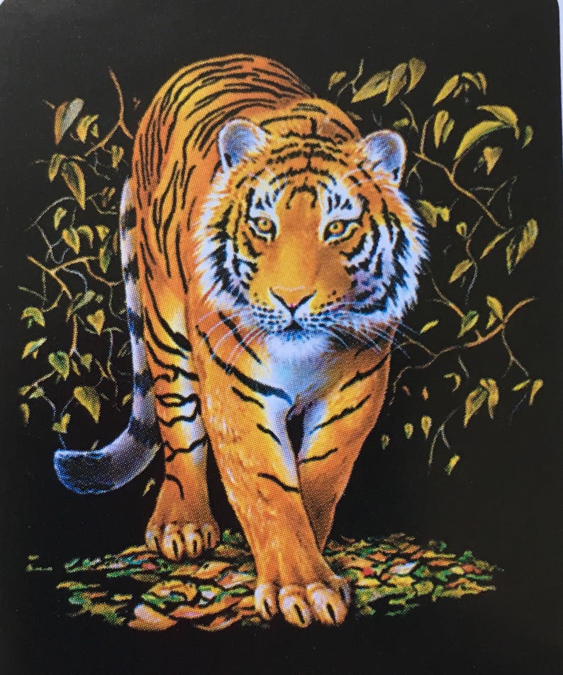 bengal tiger shirt