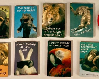 Funny animals & sayings vintage handmade magnets,monkey ,Lion,kitty, parrot, Garfield, rabbit, dog plus more-1980’s vintage unique magnets