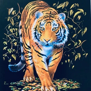 Your choice tiger T shirt vintage designs ,wild tigers, exotic big cats, Bengal tigers