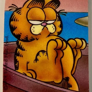 Pu&ograve; includere: Immagine rettangolare di Garfield, il gatto dei cartoni animati, in una barca, con sfondo rosa e acqua blu. Garfield &egrave; arancione con strisce nere. L'immagine include il testo "&copy; 1978 United Feature Synd." e "JIM DAVIS".