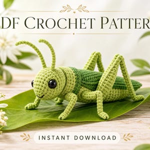 Grasshopper Amigurumi Häkelanleitung, Insekt Spielzeug für Fortgeschrittene, Garten Kinderzimmer Deko (PDF Download)