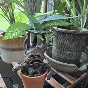 May include: A small, dark brown, textured creature figurine with pointed ears and a grimacing expression, seated in a terracotta pot. The creature holds a small, clear, jagged crystal in one hand, and a green plant grows from the pot behind it.