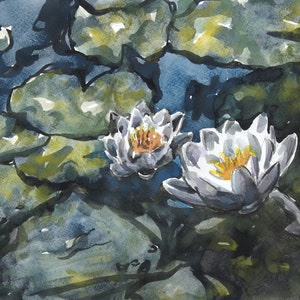 May include: A watercolor painting depicting two white water lilies with yellow centers floating among dark green and blue lily pads. The artwork features visible brushstrokes and varying shades of deep blue, forest green, and bright white.