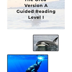 May include: Educational material titled The Orca Version A Guided Reading Level I, featuring a background of an orca in the ocean with birds, and two separate rectangular images showing an orca swimming at the surface and underwater.
