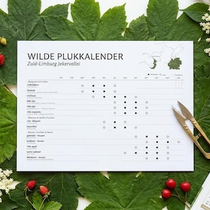 Könnte beinhalten: Ein weißer, rechteckiger Sammelkalender mit dem Titel WILDE PLUKKALENDER Zuid-Limburg Jekervallei mit einem Raster aus schwarzen Punkten und Kreisen, begleitet von einer goldenen Metallschere, auf einem Bett aus grünen Blättern und weißen Blüten.