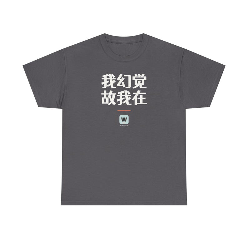 我幻觉 故我在 I Hallucinate Therefore I Am Funny AI Geek Descartes Minimalist T-Shirt Gift immagine 11