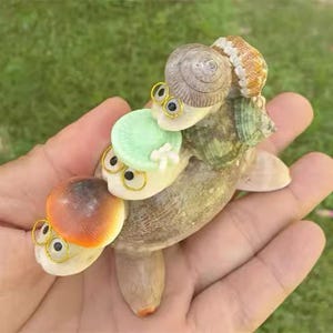 May include: A decorative figurine crafted from various seashells, featuring three stacked turtle-like figures. Each figure has small gold-rimmed glasses and googly eyes. The middle figure wears a small, pale green hat with a white flower detail.